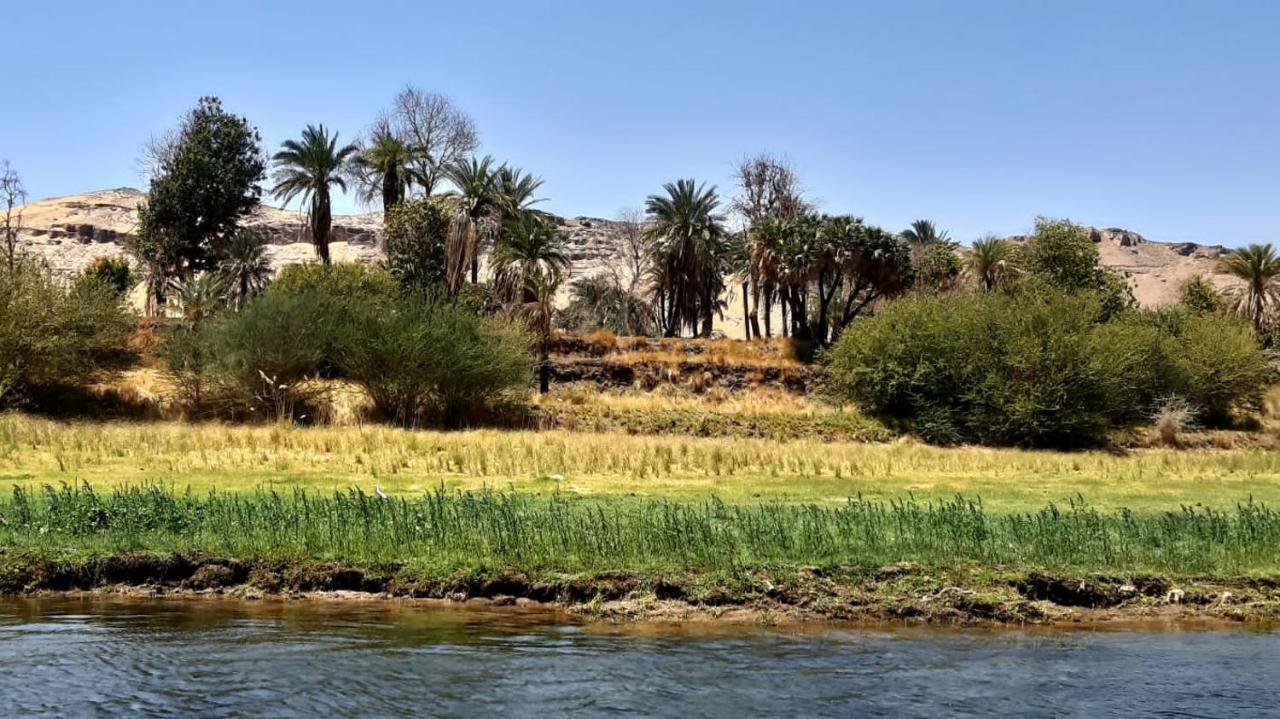 Habibi Nubian Guest House-Nubian Hospitality Asszuán Kültér fotó