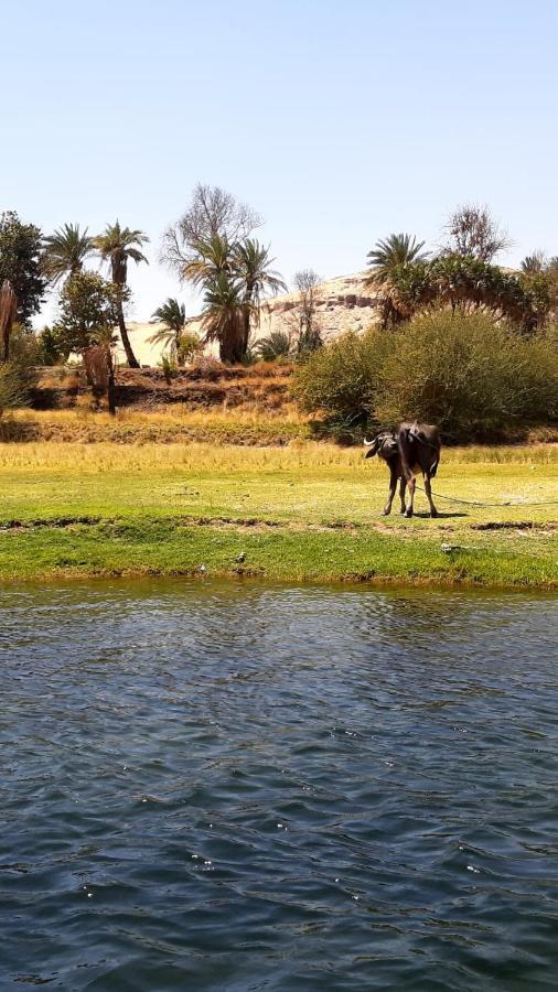 Habibi Nubian Guest House-Nubian Hospitality Asszuán Kültér fotó